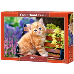 Puzzle Ginger Kitten Kotek 500 el